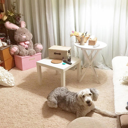 1610604914392478.jpg 地毯4.jpg