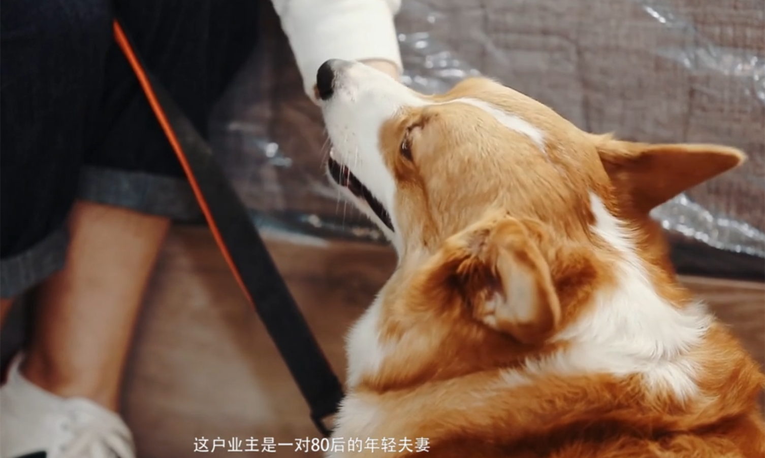 那些裝修后悔的事情大匯總 你家中槍了幾條？