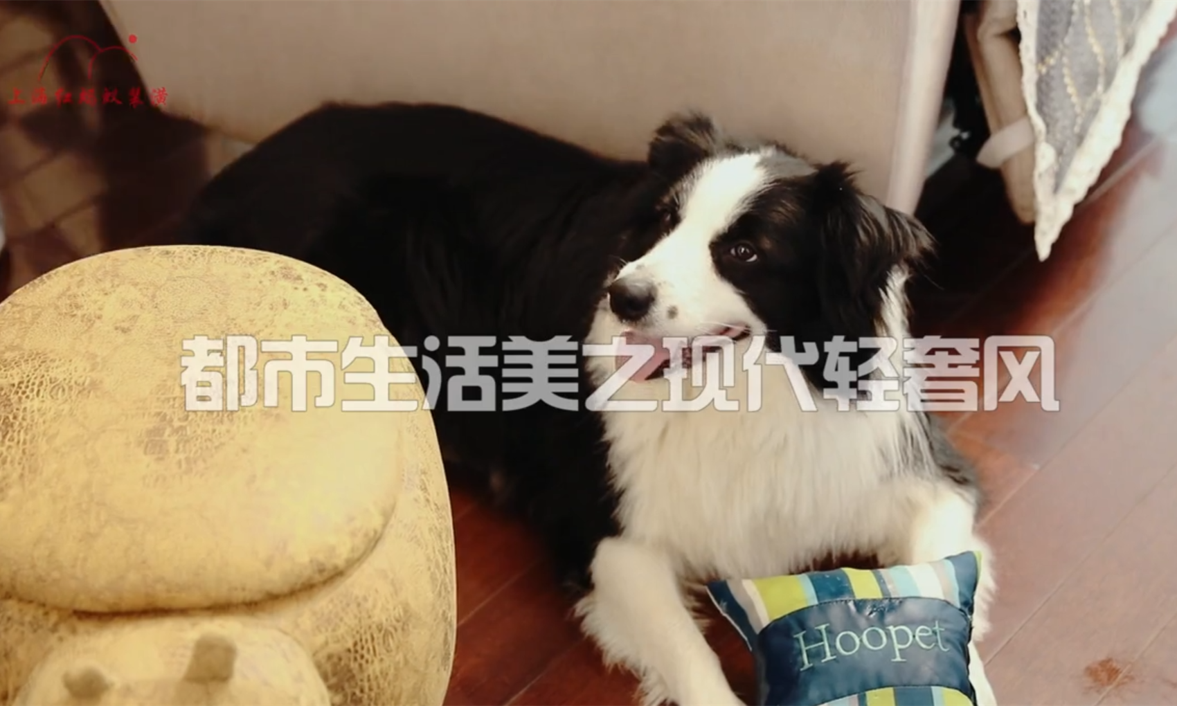 預算有限如何裝出高級感家裝？看完便知原來只需這幾步