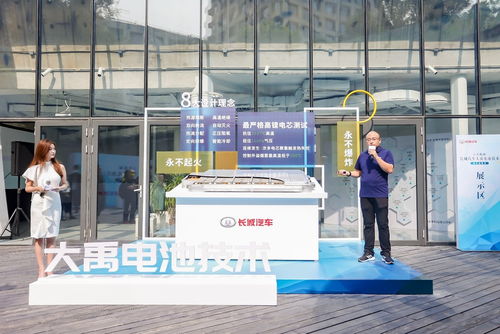 永不起火不爆炸 能扛住1037 長(zhǎng)城汽車揭秘大禹電池技術(shù)
